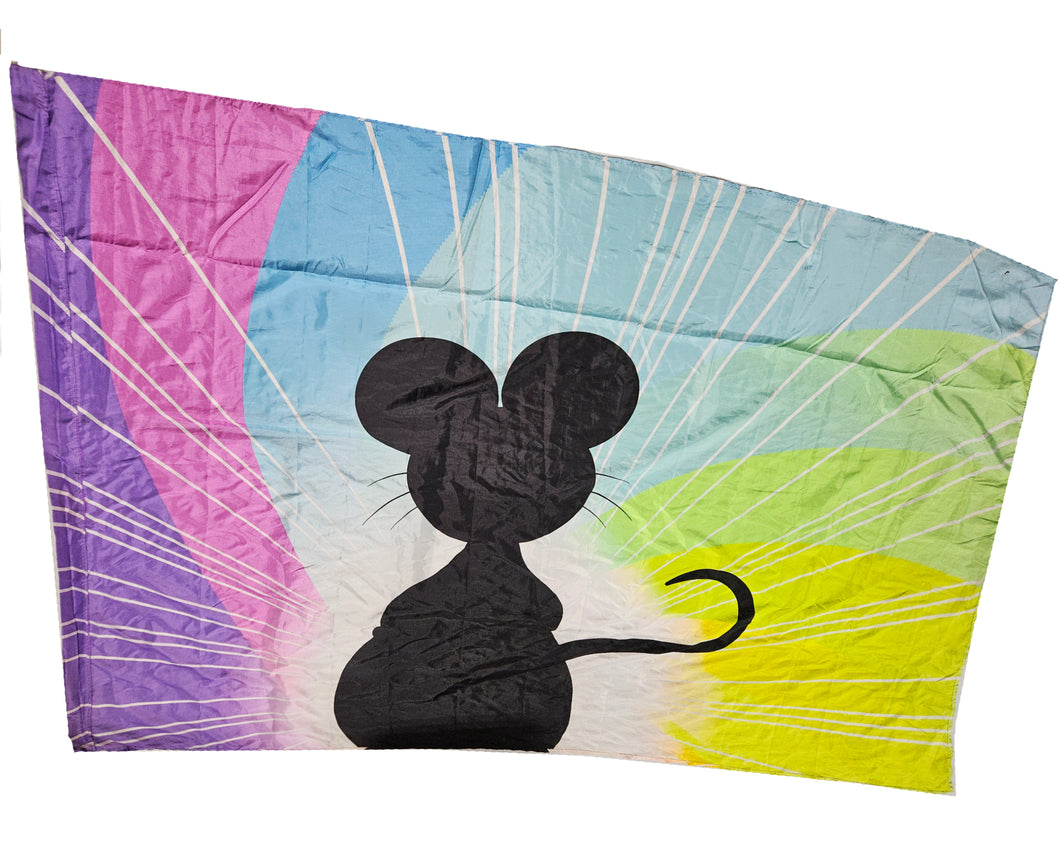 Music City Oversize Printed Mouse Flag